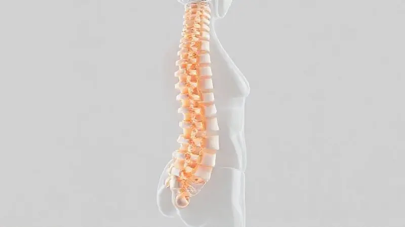 Ilustração conceitual da coluna vertebral com alinhamento correto apoiado por estrutura ortopédica de colchão